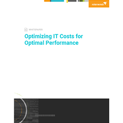 Optimizing IT Costs for Optimal Performance