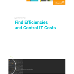 Find Efficiencies and Control IT Costs